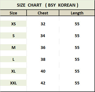 Blue Color Shirt Style Dress